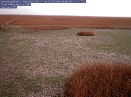 2026-07-28