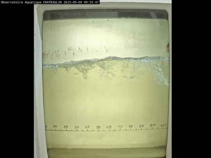 2025-09-09