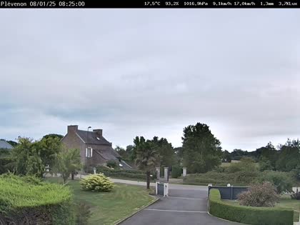 2025-08-01