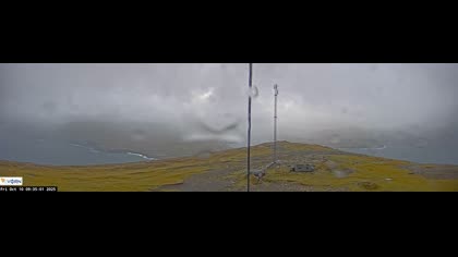 2025-10-10