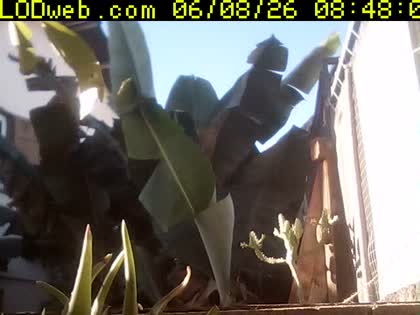 2026-06-08
