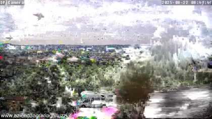 2025-08-22