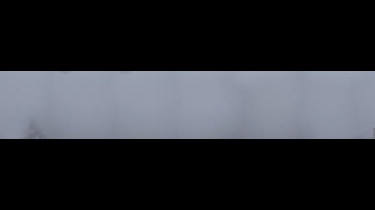 2025-08-22