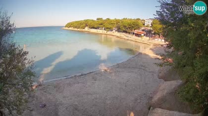 2026-10-01