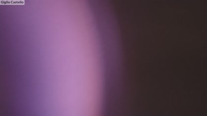 2025-08-08