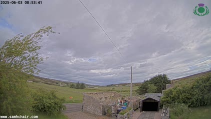 2025-06-03