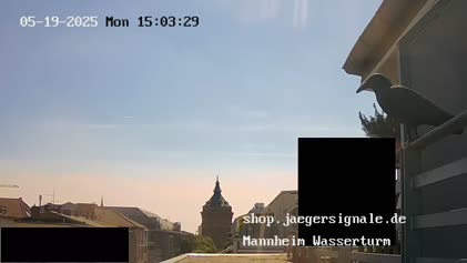 2025-05-20