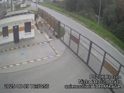 2025-10-09