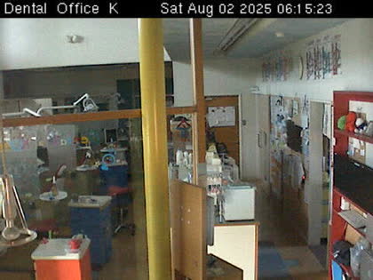 2025-08-01