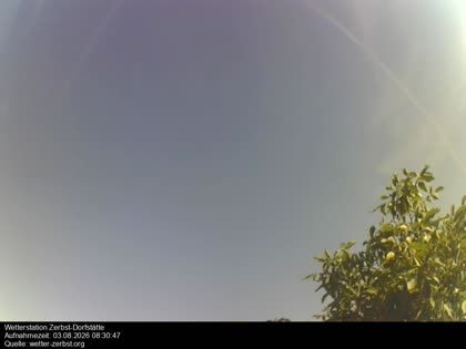 2026-08-03
