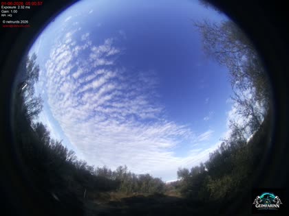 2026-06-01