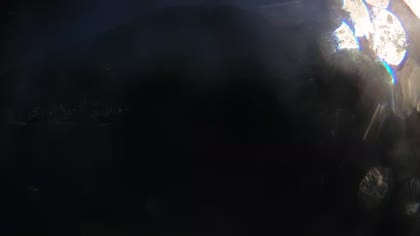 2026-07-29