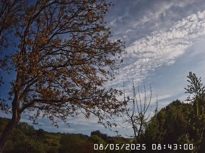 2025-05-08