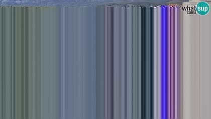 2026-07-11