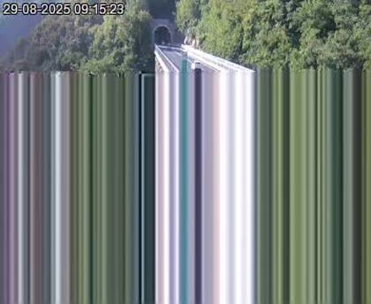 2025-08-29