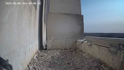 2025-06-08