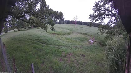 2026-06-05