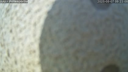 2025-08-07