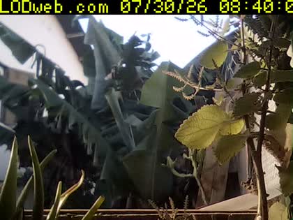 2026-07-30