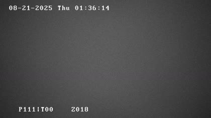 2025-08-21