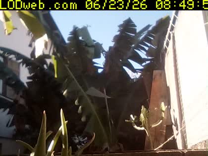 2026-06-23