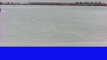 2025-08-03