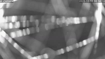 2025-10-10