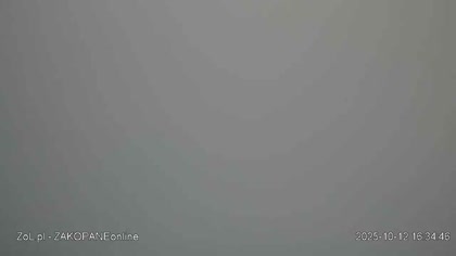 2025-10-12