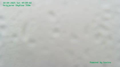 2025-10-04