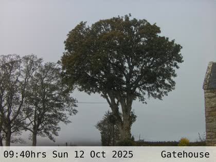 2025-10-12