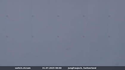 2025-07-31