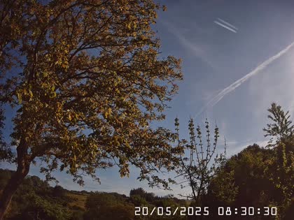 2025-05-20
