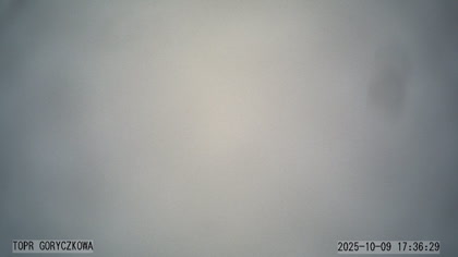 2025-10-09