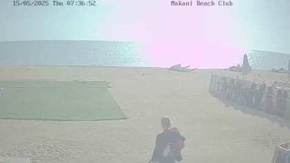 2025-05-15