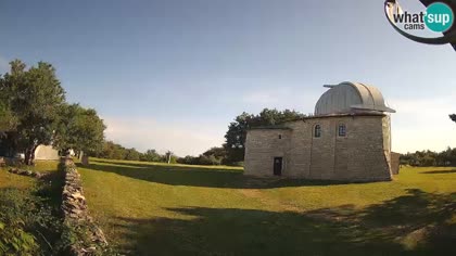 2026-05-19