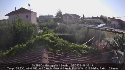2025-08-10