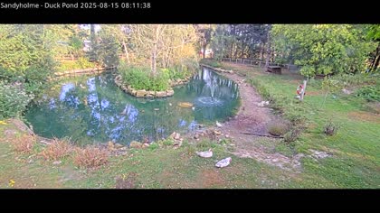 2025-08-15