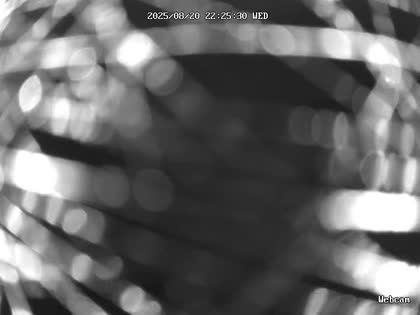 2025-08-21