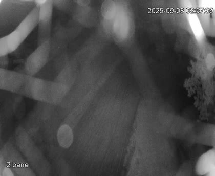 2025-09-08