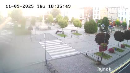 2025-09-11