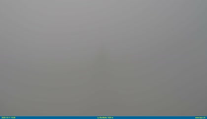 2025-10-11