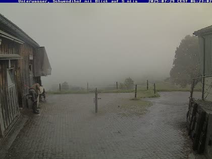 2025-07-29