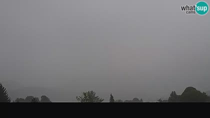 2025-07-26