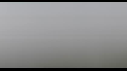 2025-07-07