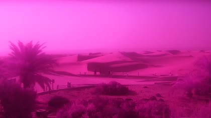 2026-09-16