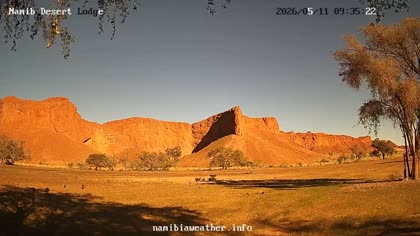 2026-05-11