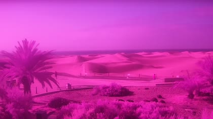 2026-06-12