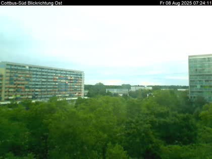 2025-08-08