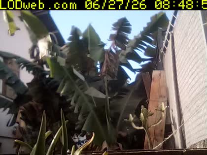 2026-06-27