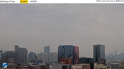 2025-04-08